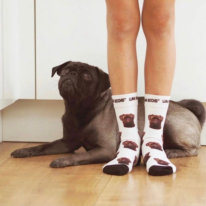 Liegender Hund auf dem Boden mit personalisierten Fotosocken